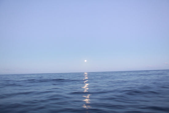 IMG_6637.JPG