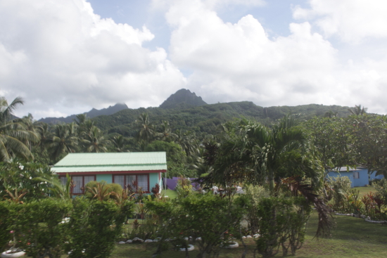 c12.JPG